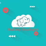 hadoop developer
