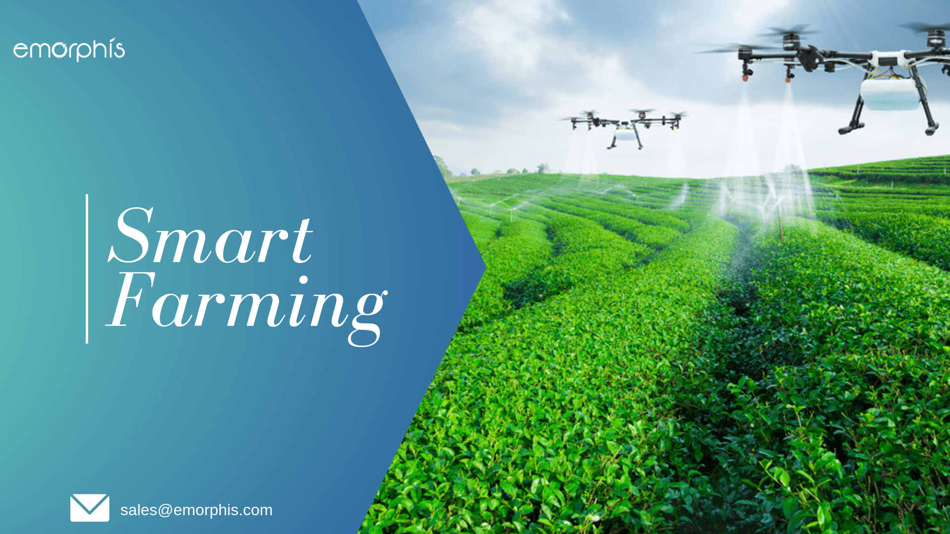 What is Smart Farming – Everything you want to know about it.
