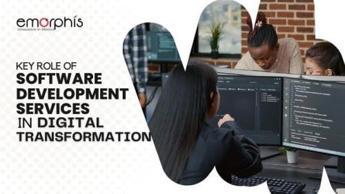 Role of Software Development Services in Digital Transformation