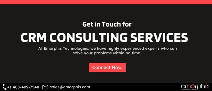 CRM Consulting Services