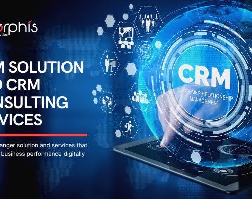 CRM Solution And CRM Consulting Services