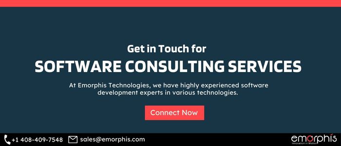 software consulting services