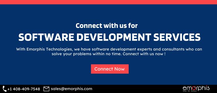 software development services, Customized Software Development Companies