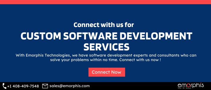 custom software development services, Customized Software Development Companies