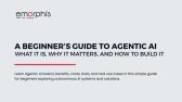 A Beginners Guide to Agentic AI, Agentic AI, Agentic AI development