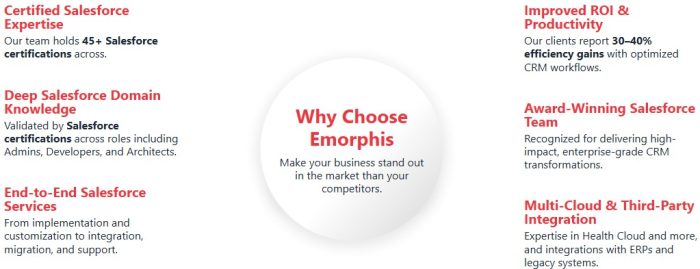 hire-salesforce-programmer, hire salesforce programmer