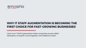 IT Staff Augmentation